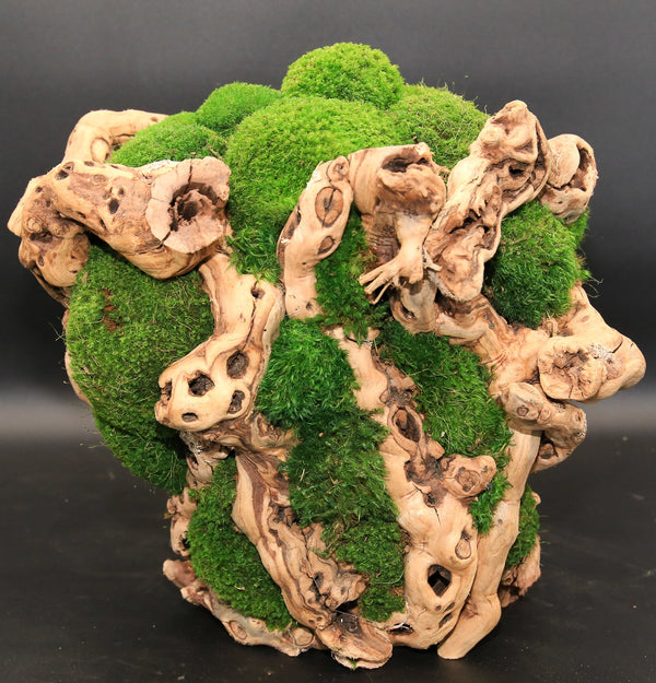 Grapevine Moss Sculpture
