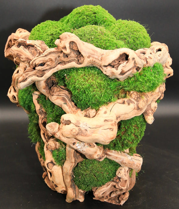 Grapevine Moss Sculpture