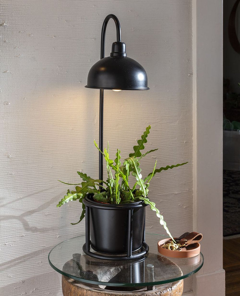Plant Stand with Light