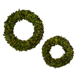 Holly Wreath