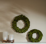 Holly Wreath