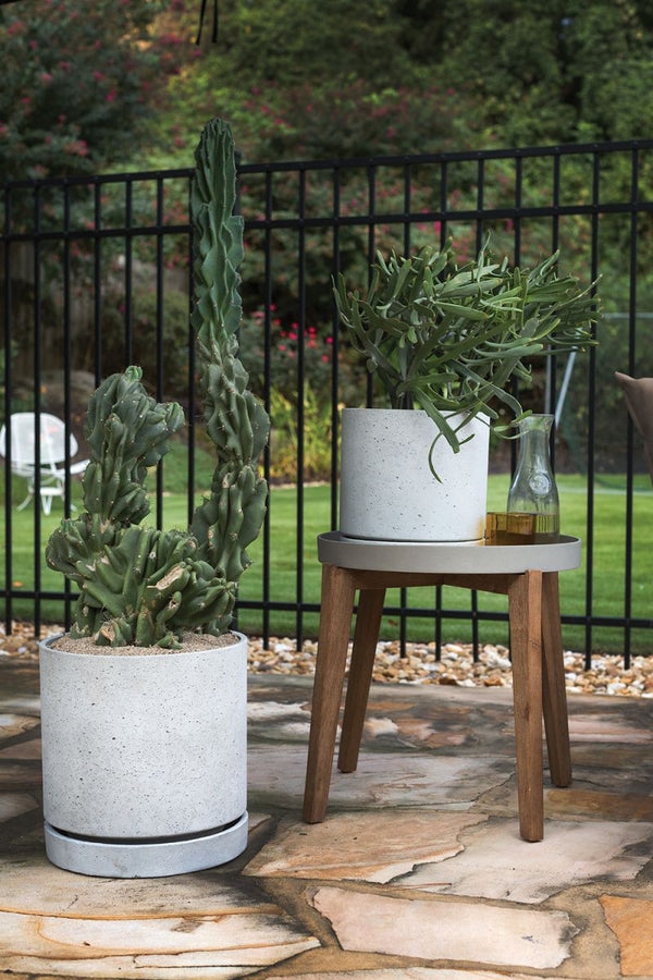 Terrazzo Pot with Saucer