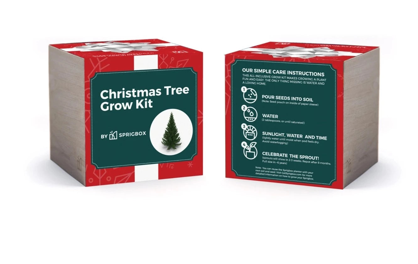 Christmas Tree Grow Kit ethnobotany shop