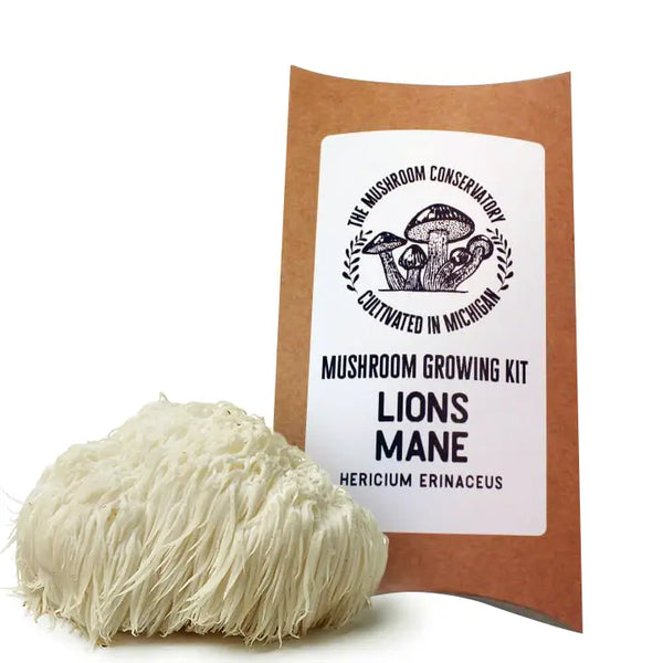 Lions Mane Mushroom Grow Kit