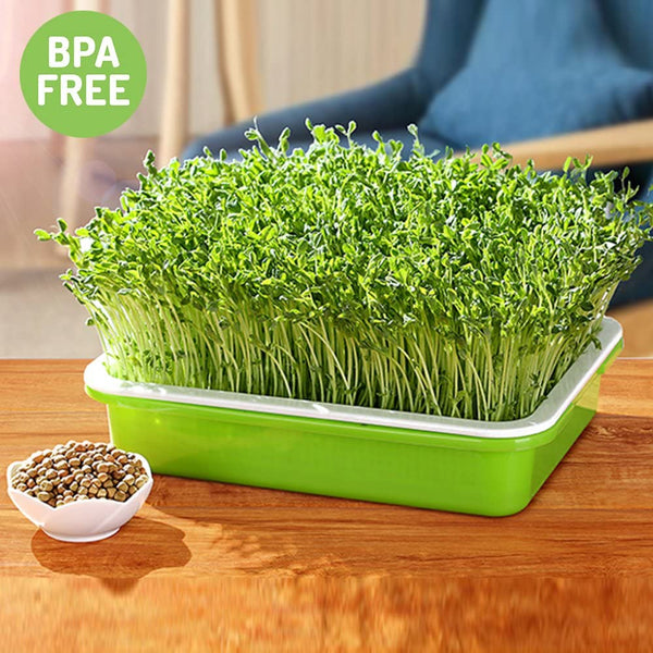 Microgreens Grow Kit