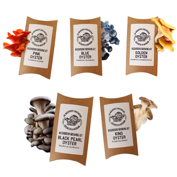 Mushroom Growing Kits | Variety Pack