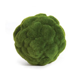 Mood Moss Orb