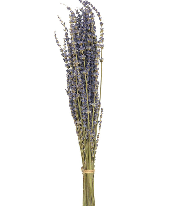 Dried Lavender