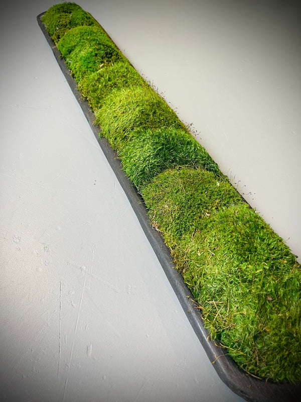 Long Moss Bowl