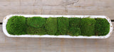 Long Moss Bowl