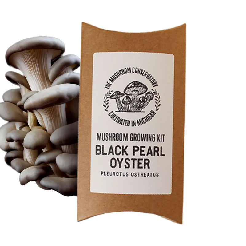 Mushroom Growing Kits | Variety Pack