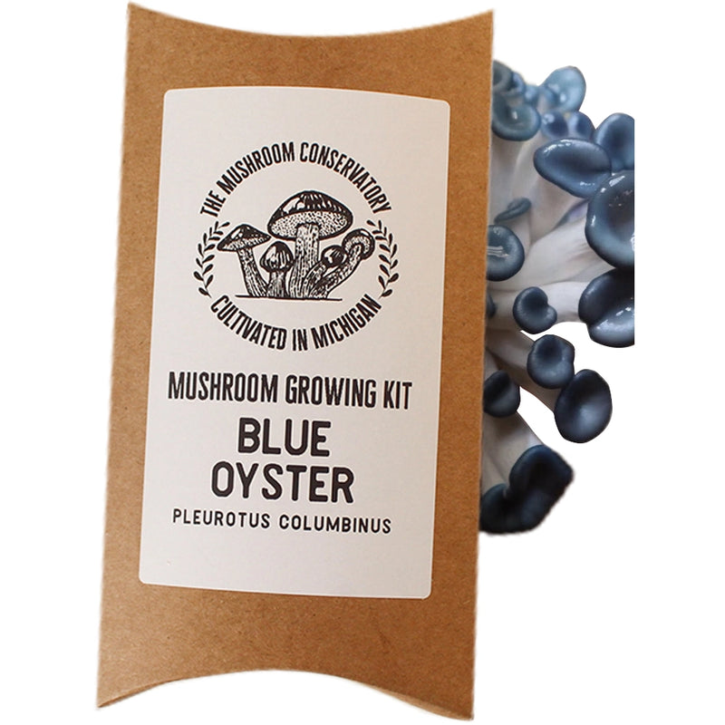 Mushroom Growing Kits | Variety Pack