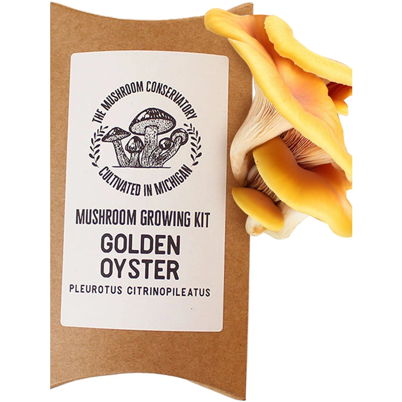 Mushroom Growing Kits | Variety Pack