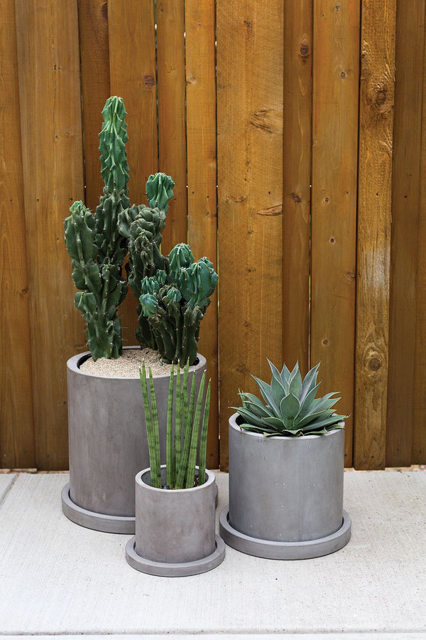 Classic Concrete Pot with Saucer