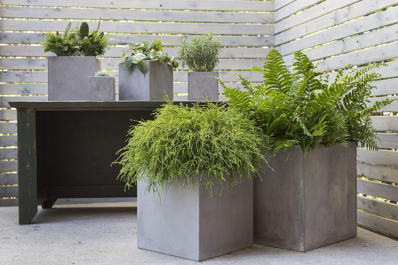 Cube Concrete Pot