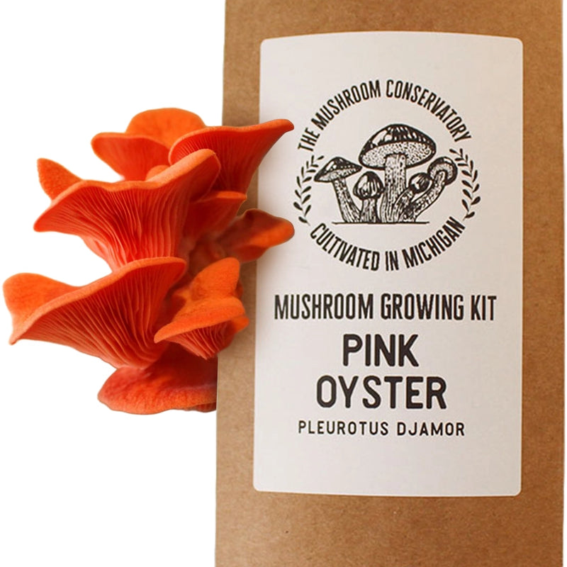 Mushroom Growing Kits | Variety Pack