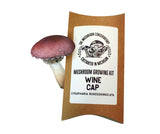 Mushroom Growing Kits | Variety Pack
